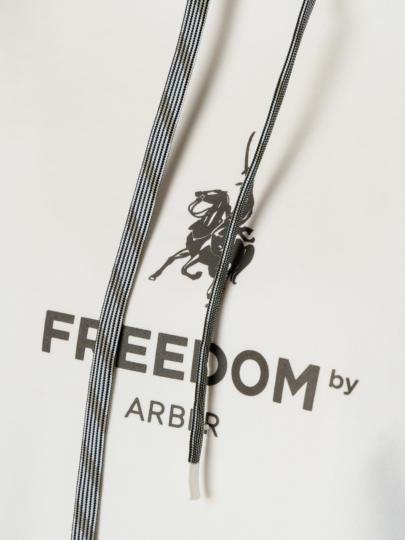 Худи Arber модель F17.08.00.331 Фото