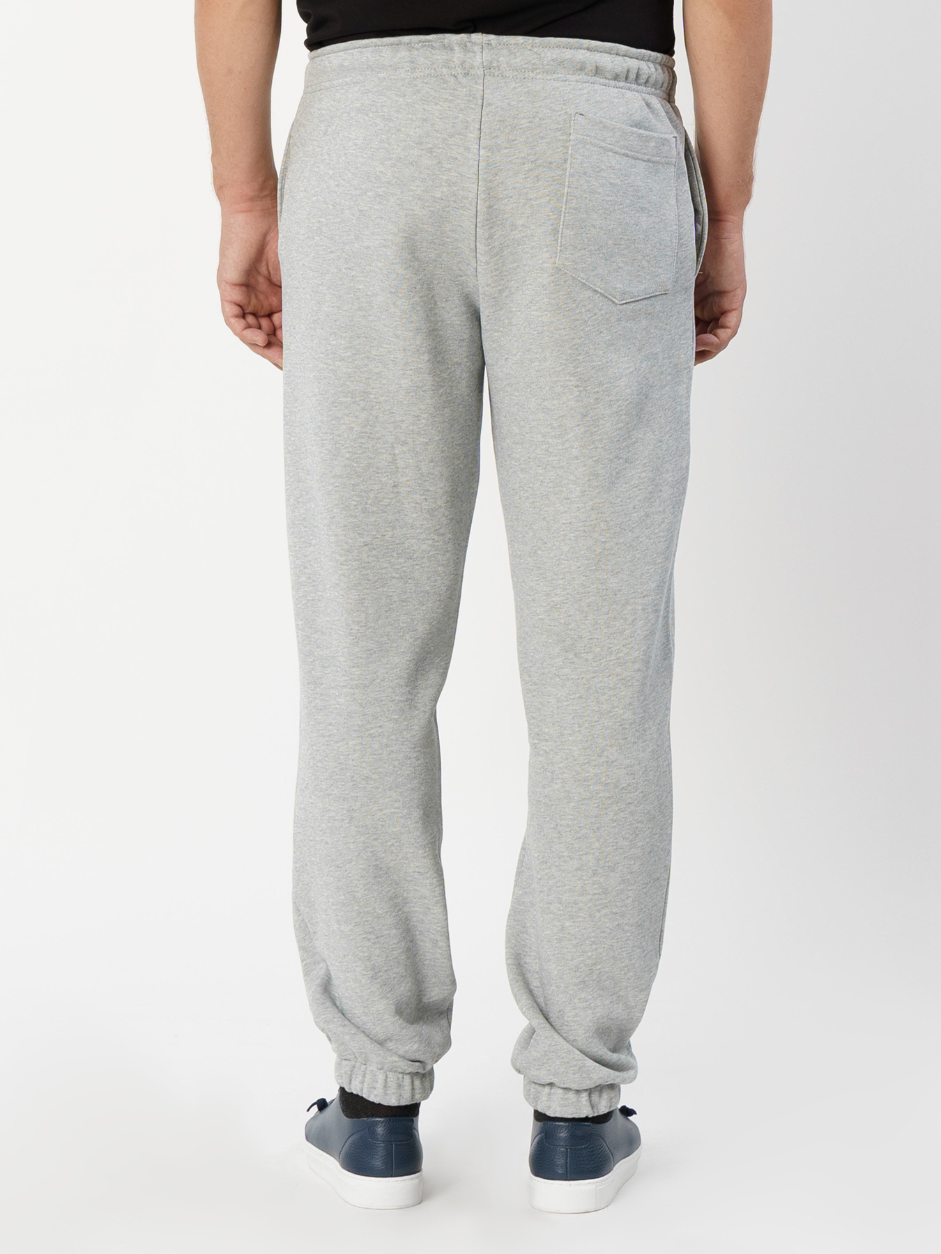 Спортивні штани Arber модель F26.02.13.331 Фото