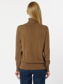 Водолазка Arber модель W10.09.38.331 Фото