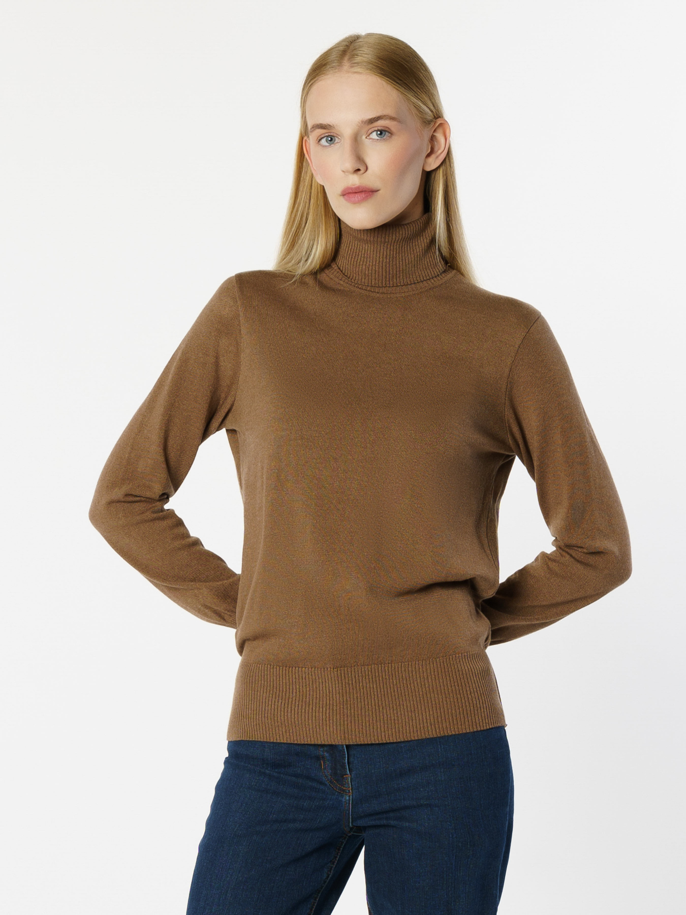 Водолазка Arber модель W10.09.38.331 Фото