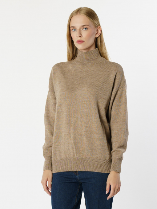 Светр Arber модель W10.25.16.241 Фото