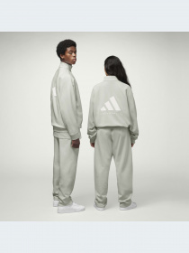 Кофта спортивная Adidas модель IJ0943 Фото