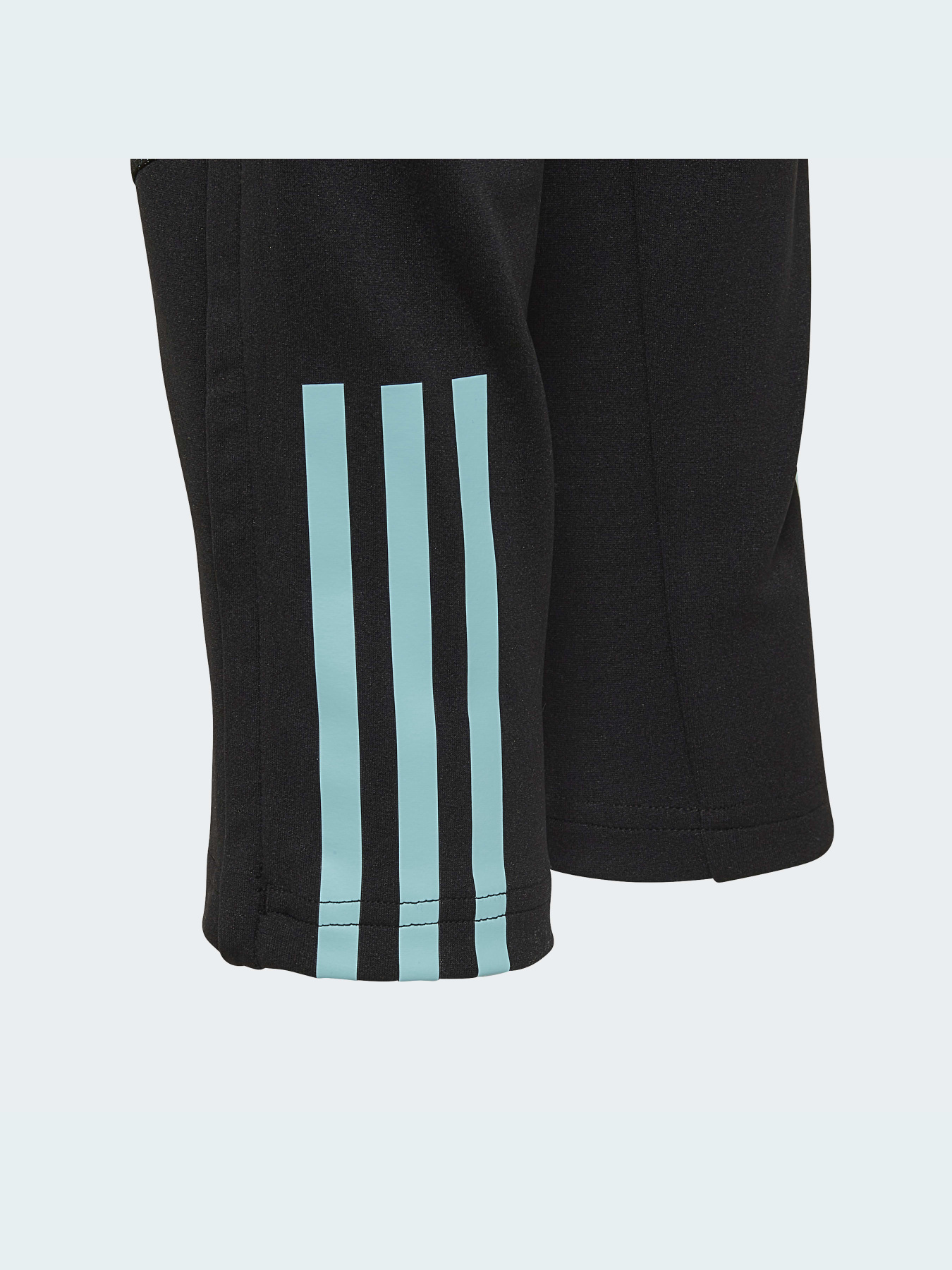 Спортивні штани Adidas модель HD6411 Фото