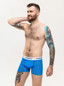 Трусы ISSA Plus модель GN5-223_blue Фото