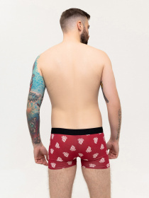 Трусы ISSA Plus модель GN5-230_burgundy Фото