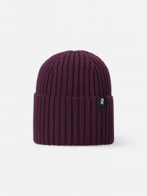 Шапка REIMA Hattara модель 5300057B-4960 Фото