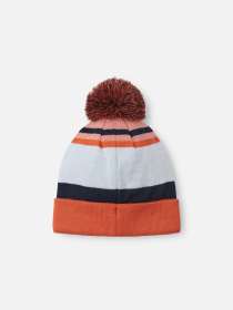 Шапка REIMA Taasko модель 5300058A-2821 Фото