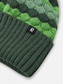 Шапка REIMA Pampula модель 5300234A-8511 Фото