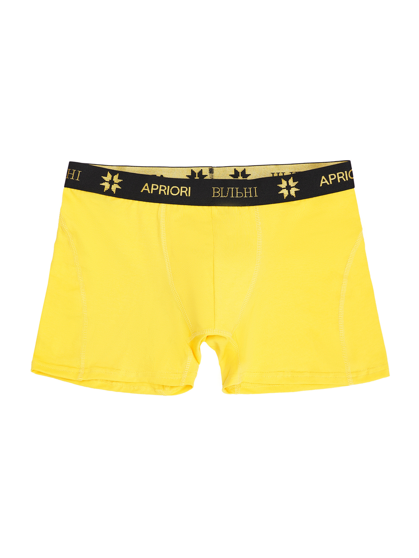 Трусы APRIORI модель MAP005105 Фото