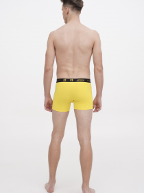 Трусы APRIORI модель MAP005105 Фото