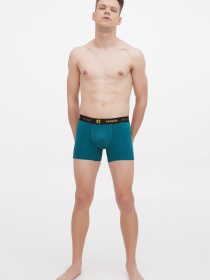 Трусы APRIORI модель MAP005110 Фото