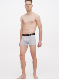 Трусы APRIORI модель MAP005120 Фото