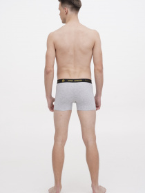 Трусы APRIORI модель MAP005120 Фото