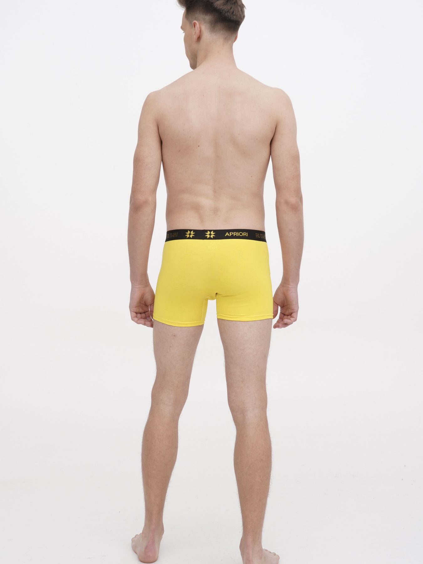 Набор трусов APRIORI модель MAP030005 Фото