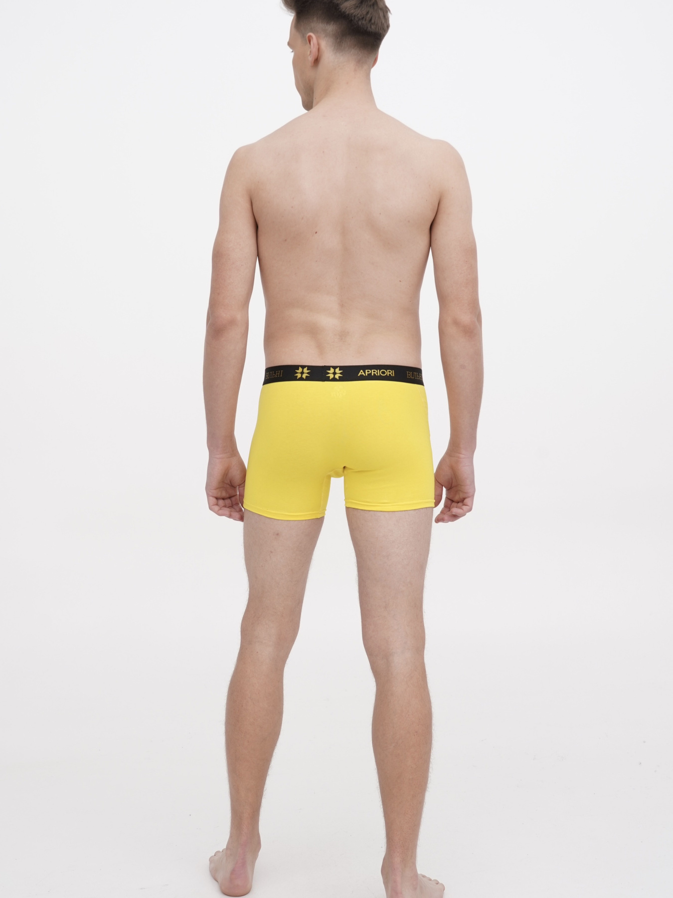 Набор трусов APRIORI модель MAP030010 Фото