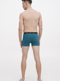 Набор трусов APRIORI модель MAP030020 Фото