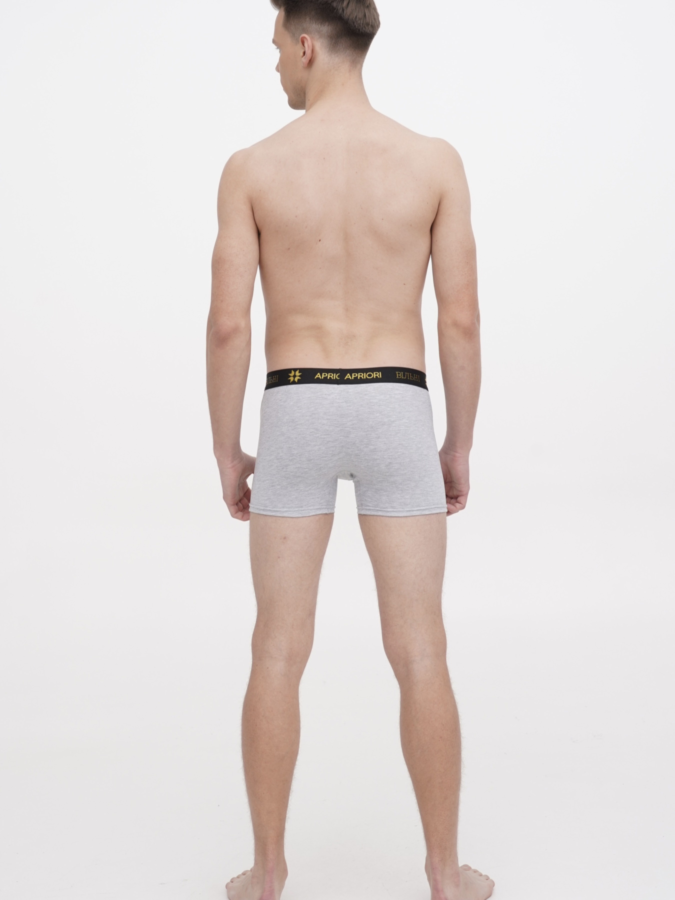 Набор трусов APRIORI модель MAP030035 Фото