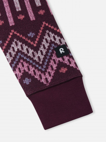 Комбинезон REIMA Myytti модель 5200042A-4962 Фото