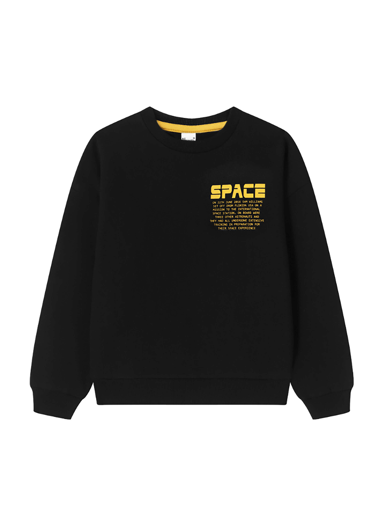 Свитшот YUMSTER модель YU.12.09.005 Фото