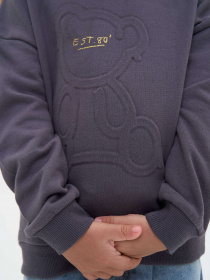 Свитшот YUMSTER модель YU.12.09.001-G Фото