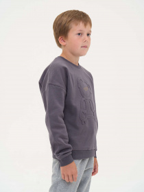 Свитшот YUMSTER модель YU.12.09.001-B Фото