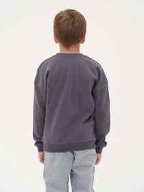 Свитшот YUMSTER модель YU.12.09.001-B Фото