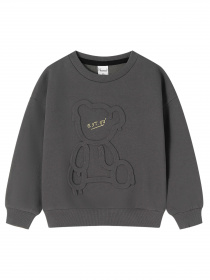 Свитшот YUMSTER модель YU.12.09.001-B Фото