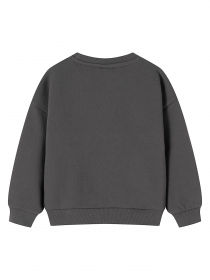 Свитшот YUMSTER модель YU.12.09.001-B Фото