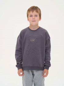 Свитшот YUMSTER модель YU.12.09.001-B Фото