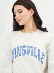 Свитшот H&M модель 51109 Свитшот H&M модель 51109 Фото