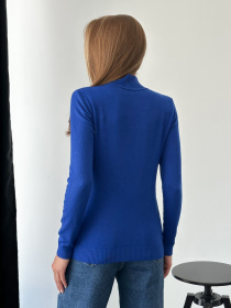 Водолазка ISSA Plus модель WN20-46_electrician Фото