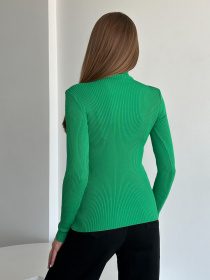 Водолазка ISSA Plus модель WN20-550_green Фото