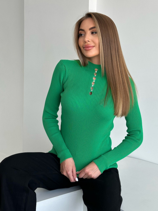 Водолазка ISSA Plus модель WN20-550_green Фото