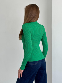 Водолазка ISSA Plus модель WN20-553_green Фото