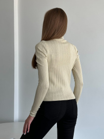 Водолазка ISSA Plus модель WN20-554_beige Фото