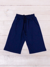 Повседневные шорты Носи своє модель 6208-057-sapfrovij Фото