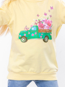 Свитшот Носи своє модель 6069-023-33-5-svtlo-zhovtij-meteliki Свитшот Носи своє модель 6069-023-33-5-svtlo-zhovtij-meteliki Фото