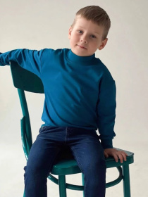 Світшот Носи своє модель 6069-023-4-temno-bryuzovij Світшот Носи своє модель 6069-023-4-temno-bryuzovij Фото