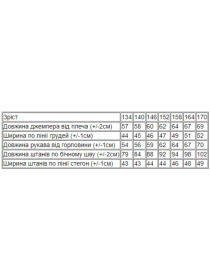 Спортивный костюм Носи своє модель 6397-025-33-chornilxno-sinj-los-angeles Фото