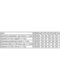 Спортивный костюм Носи своє модель 6018-057-33-5-temno-buzkovij-mnn Фото