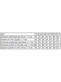 Спортивный костюм Носи своє модель 6396-025-33-fstashkovij-best Фото