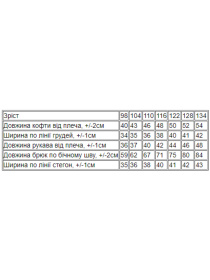 Спортивный костюм Носи своє модель 6018-057-33-4-temno-bryuzovij Фото