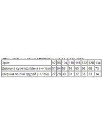 Платье мини Носи своє модель 6118-002-veselka-srij Фото