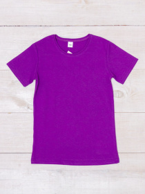 Футболка Носи своє модель 6021-001-1-llovo-foletovij Фото