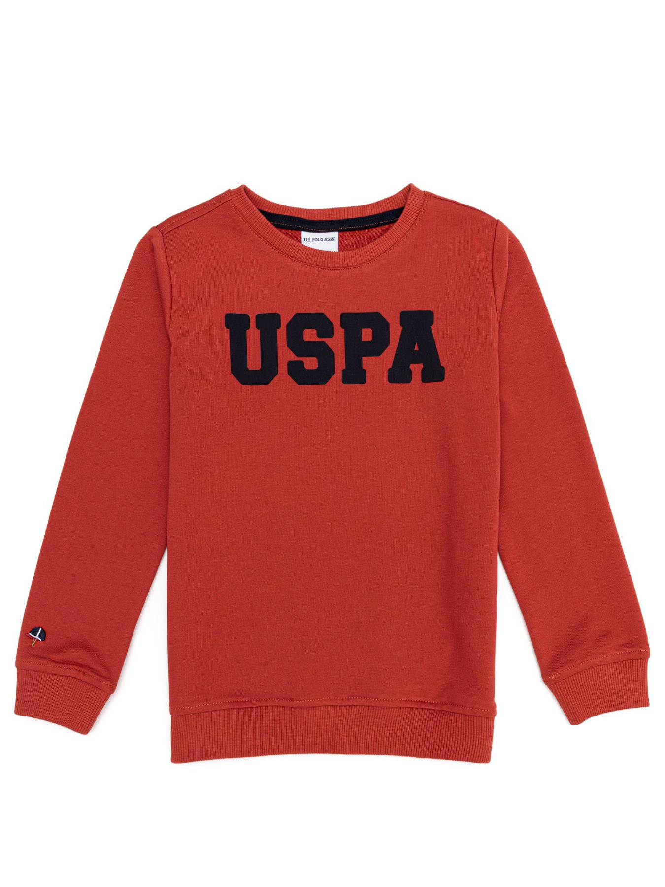 Свитшот US Polo модель G083SZ082.000.1259385.VR191 Фото