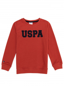 Свитшот US Polo модель G083SZ082.000.1259385.VR191 Фото