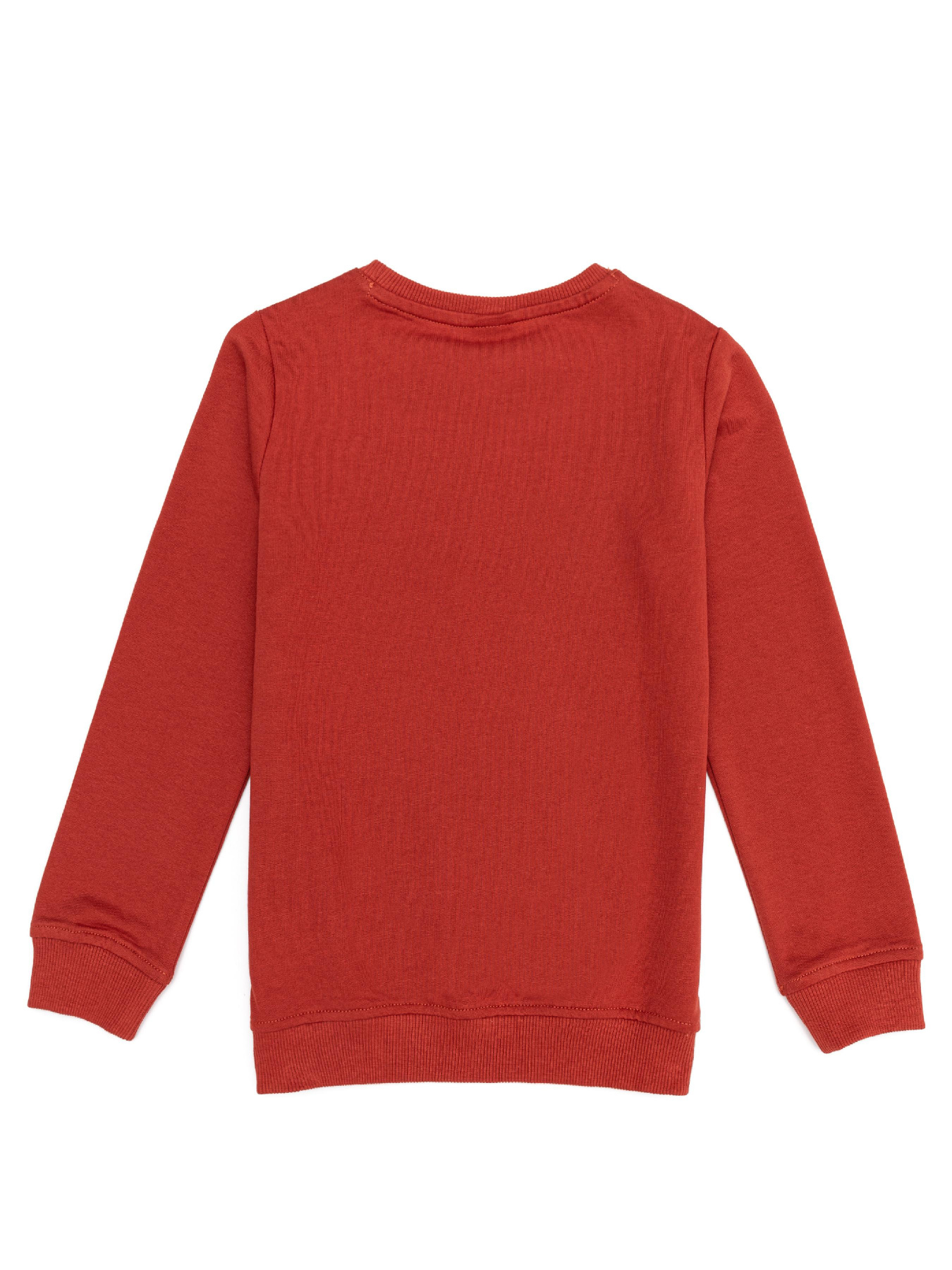 Свитшот US Polo модель G083SZ082.000.1259385.VR191 Фото