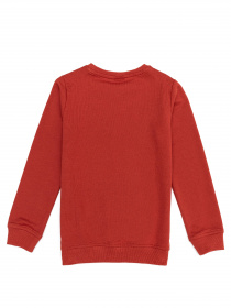 Свитшот US Polo модель G083SZ082.000.1259385.VR191 Фото