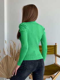 Водолазка ISSA Plus модель WN20-554_green Фото