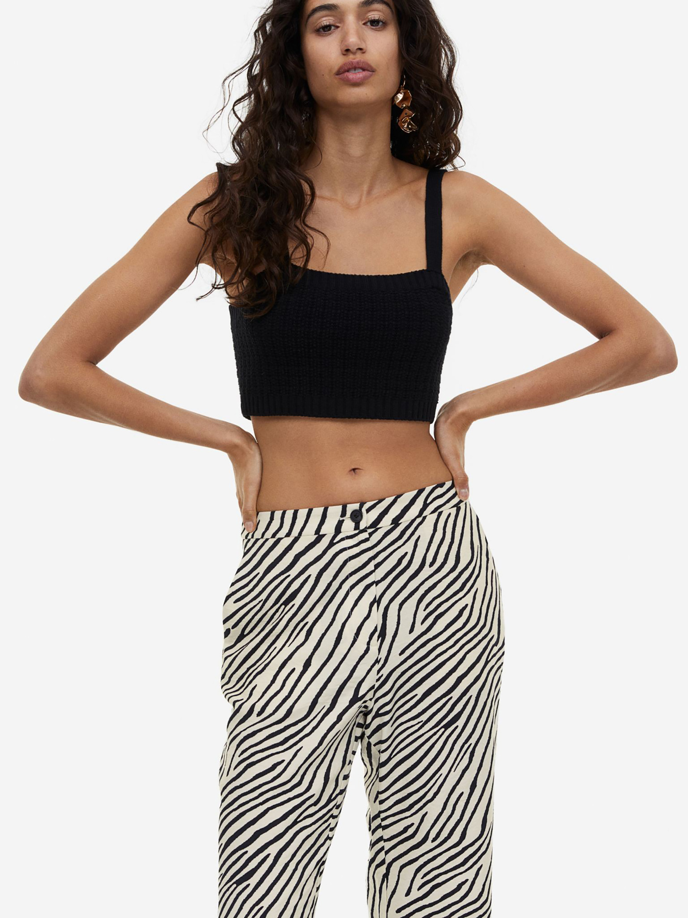 Брюки повседневные H&M модель 69200 Фото